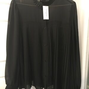 Banana Republic Black Pleated Sheer Blouse